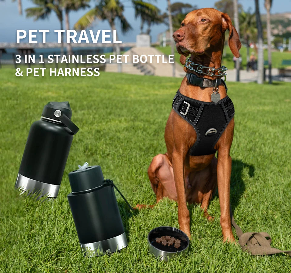 3-in-1 Stainless Steel Pet Travel Bottle
