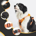Load image into Gallery viewer, Dog wearing Anti-Burst Impact Harness and Retractable Leash Set All-in-One -Littlepawgive