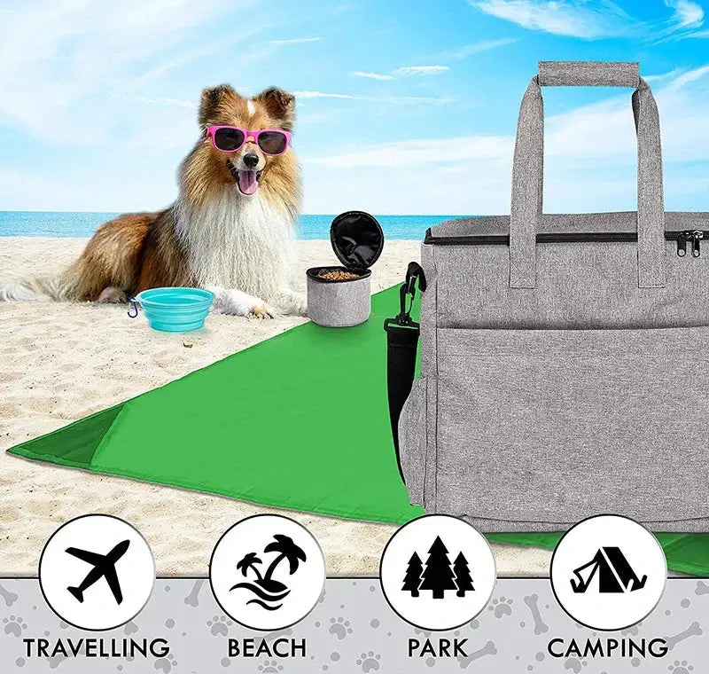 Pet travel bag on beach with a dog in sunglasses, ideal for camping, parks, and travel adventures.