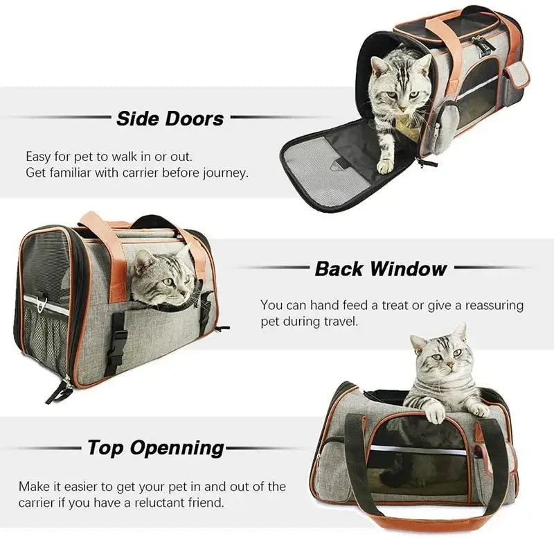 Pet carrier with side doors, back window, and top opening for easy access and comfort during travel.