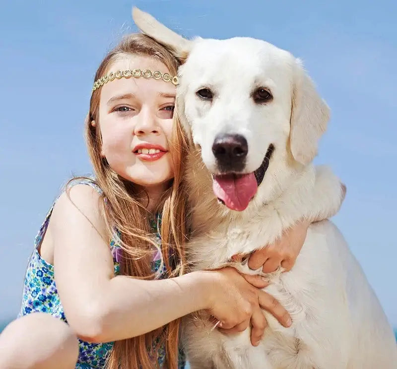 Girl hugging a happy golden retriever dog in a sunny outdoor setting, showcasing their joyful bond.