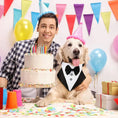 Load image into Gallery viewer, Happy man and golden retriever in tuxedo collar celebrating at a colorful birthday party with cake, balloons, and gifts.
