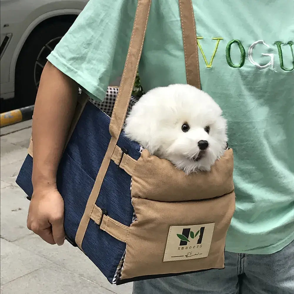 Small fluffy dog in a stylish pet carrier bag being held by a person on the street.