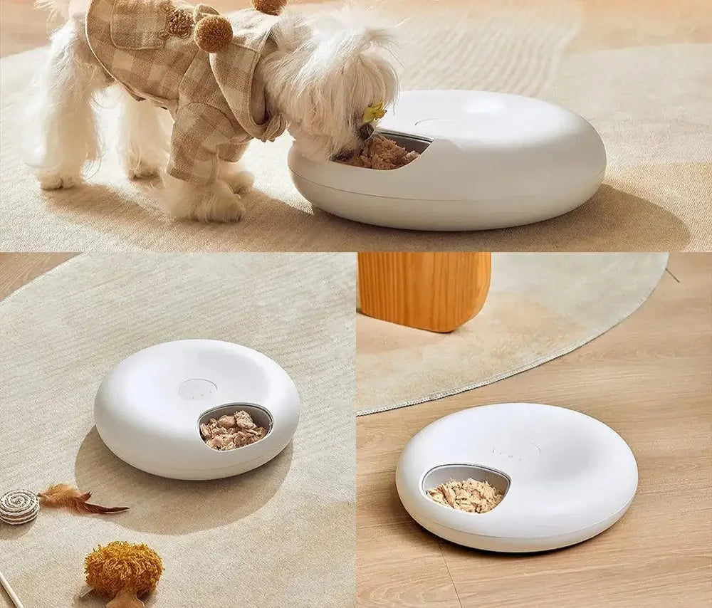 adorable small dog using a WiFi smart pet feeder for portion control in a stylish home setting