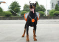 Load image into Gallery viewer, Adventure Dog Backpack with Reflective Safety