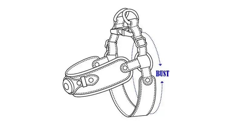 Diagram of Anti-Lost Dog Harness with Airtag Holder, showing adjustable straps and bust measurement area.