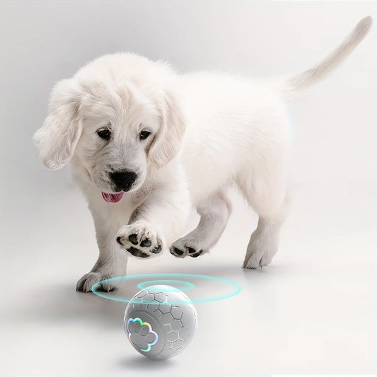 Interactive Pet Toy Ball with LED Lights & Auto Bounce