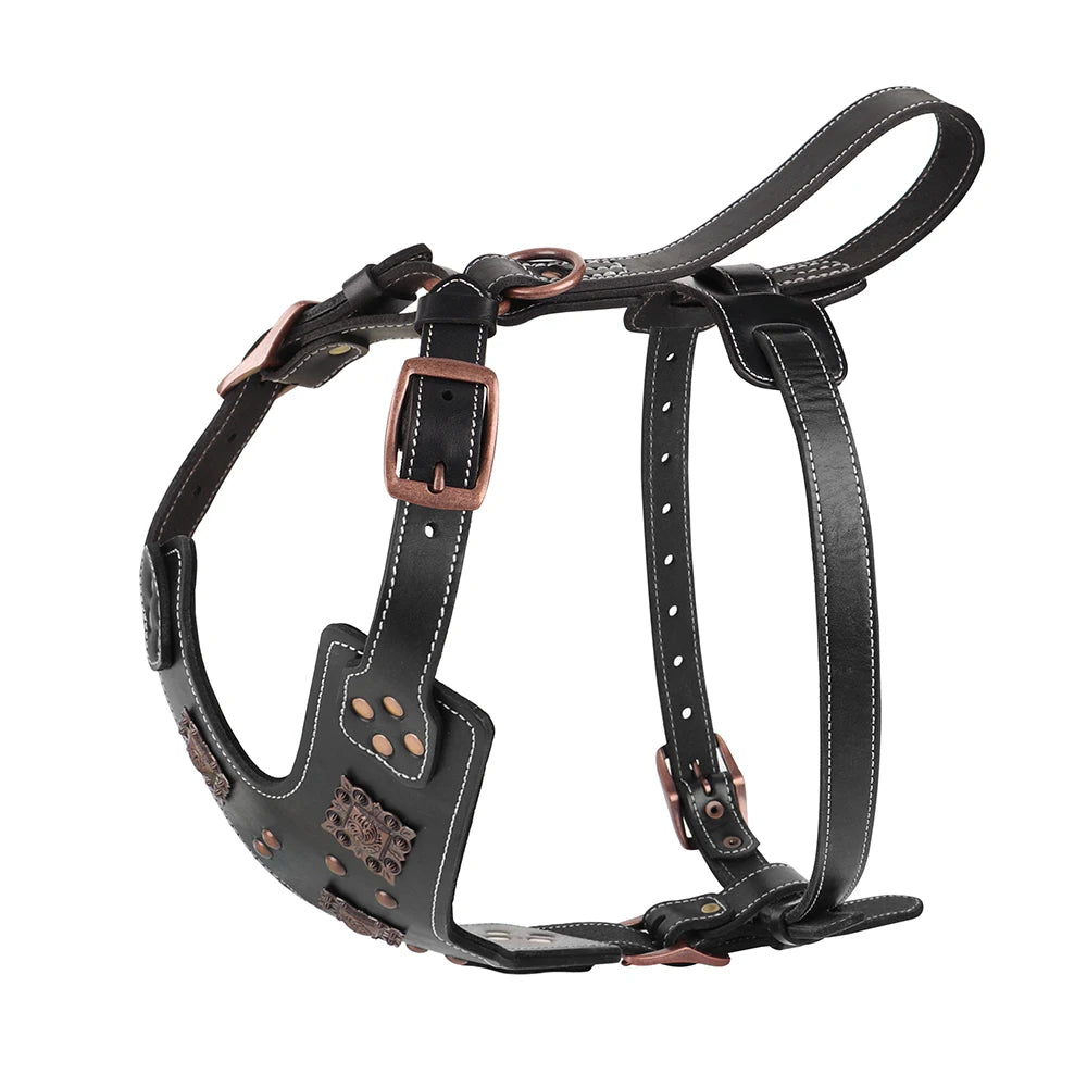 Premium Leather Dog Harness for Medium & Large Breeds