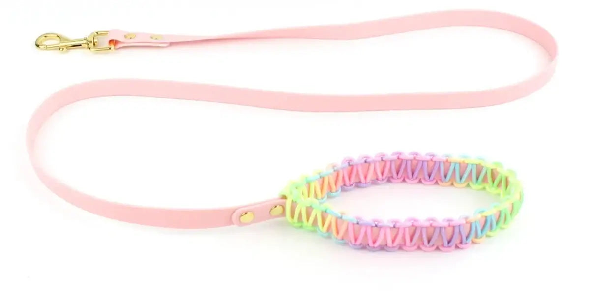 Vibrant Dog Collar & Leash Set - Ultimate Control & Style