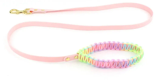 Vibrant Dog Collar & Leash Set - Ultimate Control & Style