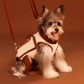 Load image into Gallery viewer, Dog wearing a Portable Pet Lifter Harness, showcasing improved mobility and support for pets in need.