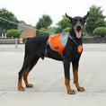 Load image into Gallery viewer, Adventure Dog Backpack with Reflective Safety