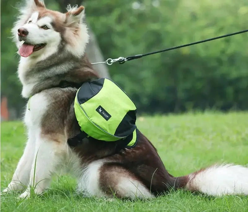 Adventure Dog Backpack with Reflective Safety
