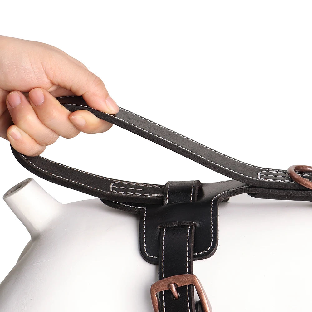 Premium Leather Dog Harness for Medium & Large Breeds