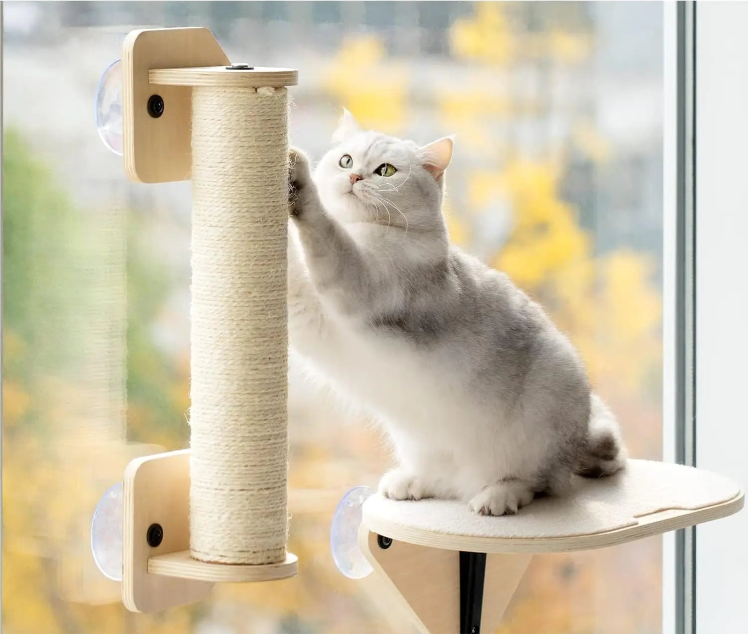 Cat Window Perch with Climbing Steps & Scratching Post