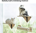 Load image into Gallery viewer, Cat Window Perch with Climbing Steps & Scratching Post