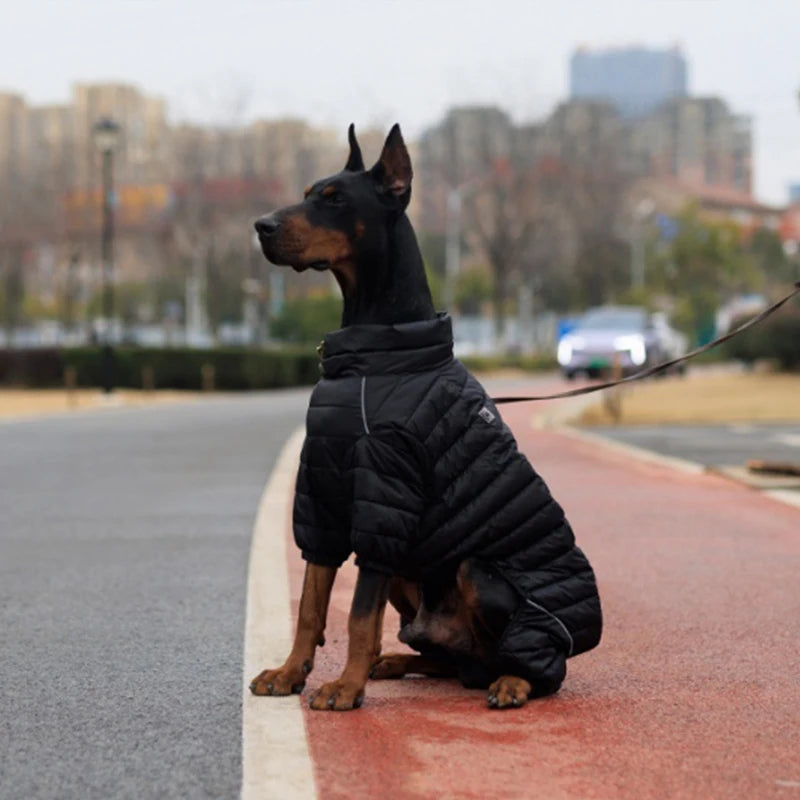 Winter Dog Coat - Windproof & Warm