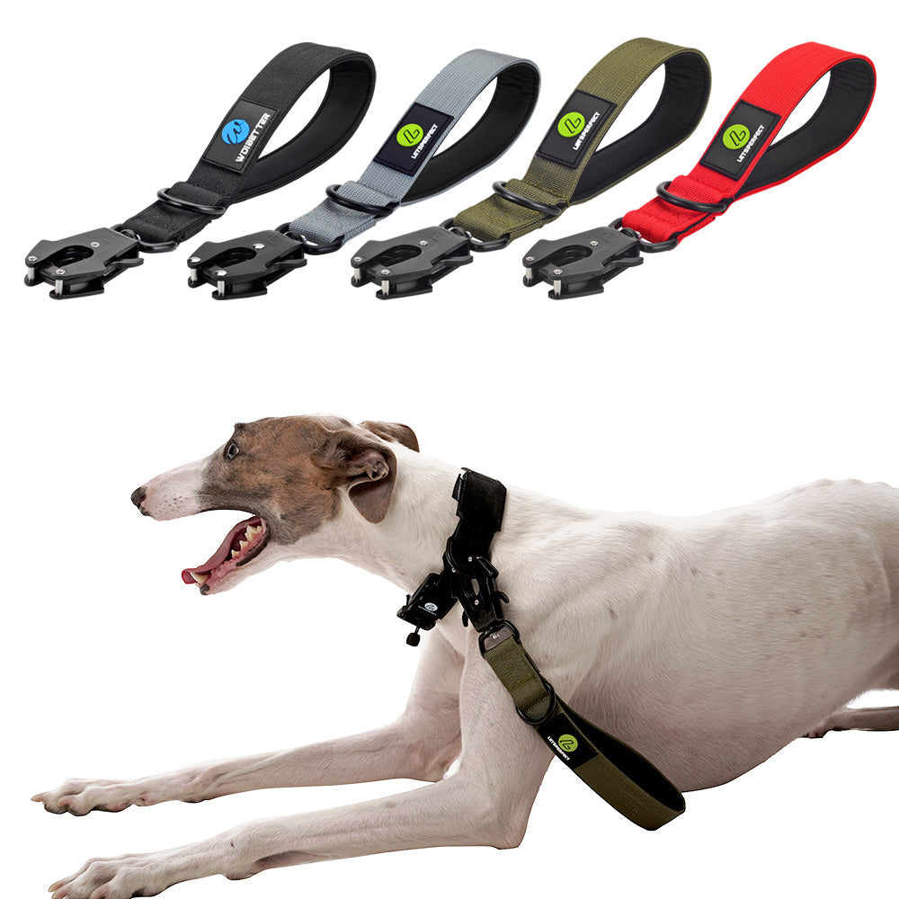 Control Dog Traffic Lead with Padded Handle