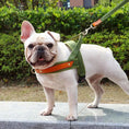 Load image into Gallery viewer, No-Pull Dog Harness & Leash Set