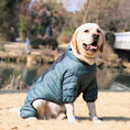 Load image into Gallery viewer, Winter Dog Coat - Windproof & Warm