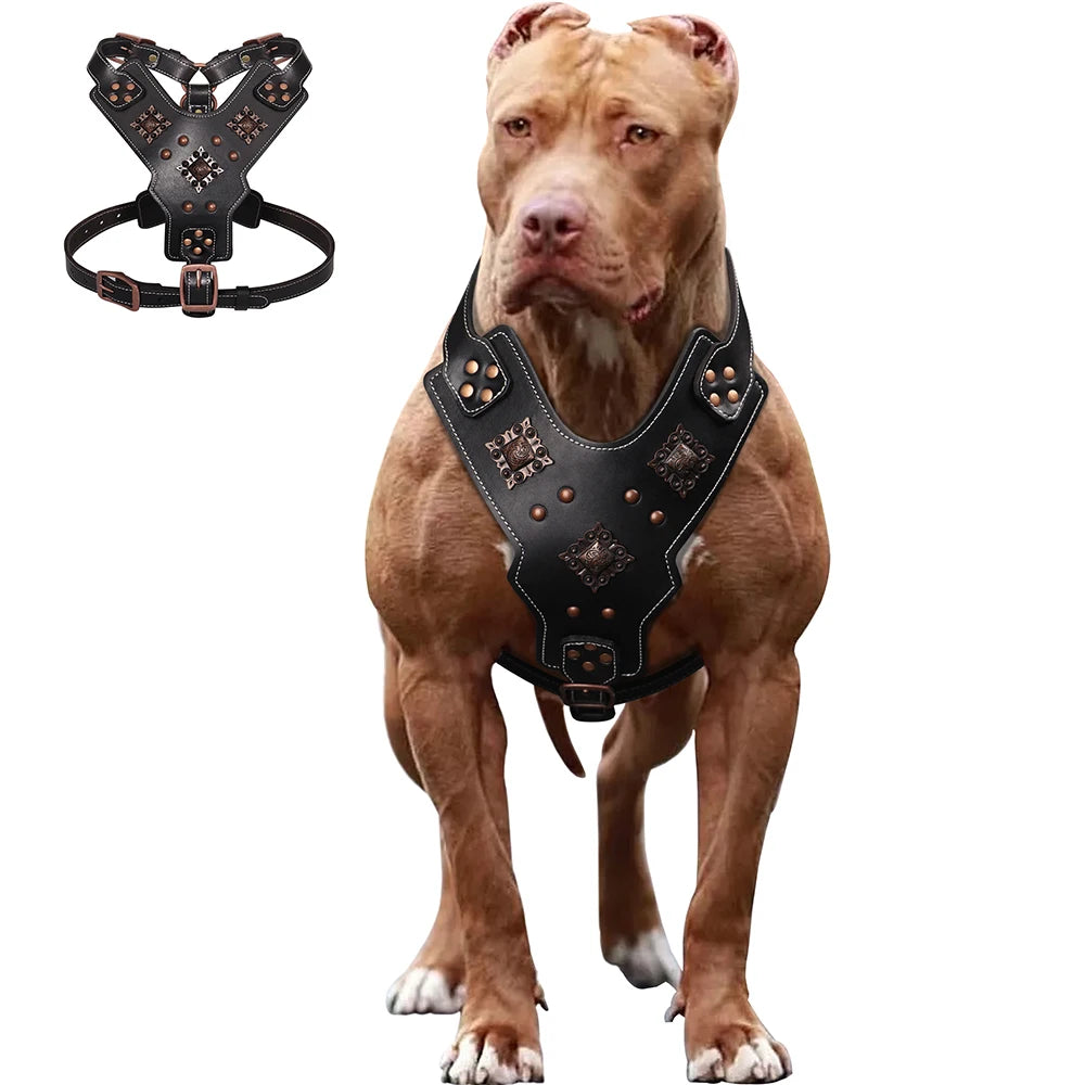 Premium Leather Dog Harness for Medium & Large Breeds