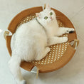 Load image into Gallery viewer, Comfort Cat Hammock Bed – Sturdy & Stylish