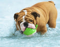 Load image into Gallery viewer, Interactive Floating Water Spray Dog Toy