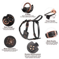 Load image into Gallery viewer, Premium Leather Dog Harness for Medium & Large Breeds