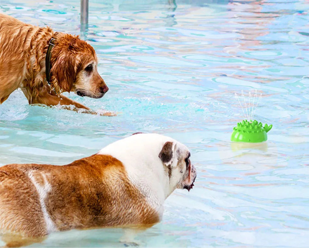Interactive Floating Water Spray Dog Toy