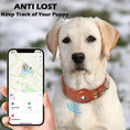Load image into Gallery viewer, Labrador wearing heavy-duty leather dog collar with Airtag holder, owner using smartphone to track pet's location for ultimate safety.