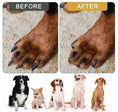 Load image into Gallery viewer, Before and after comparison of dog nails, showcasing the transformation using the Revolutionary Dog Nail Scratch Board.