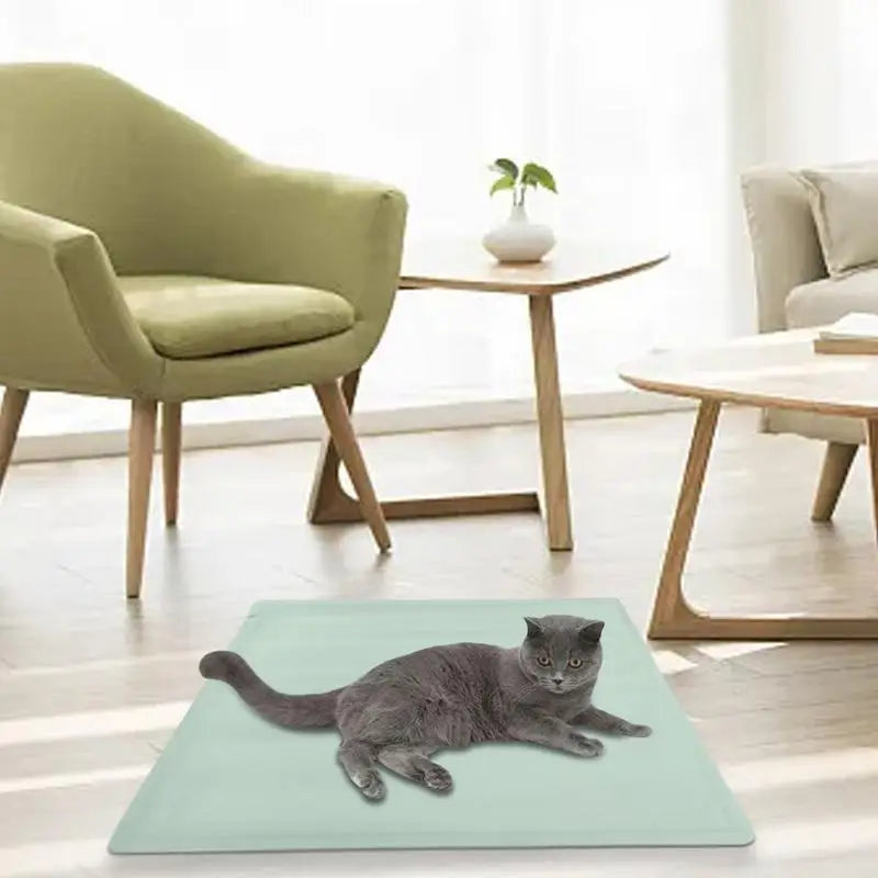 Comfort Pet Heating Pad - Safe & Chew Resistant