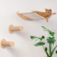 Load image into Gallery viewer, Cat lounging on a stylish wall-mounted hammock in a modern home setting with sisal scratching posts and greenery.