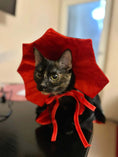 Load image into Gallery viewer, Cat wearing a vampire cloak pet costume with red and black cape, ready for Halloween cosplay.