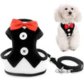 Load image into Gallery viewer, Chic no pull dog harness and leash set with bowtie, perfect for stylish pet walks and special occasions.
