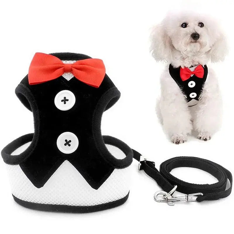 Chic no pull dog harness and leash set with bowtie, perfect for stylish pet walks and special occasions.