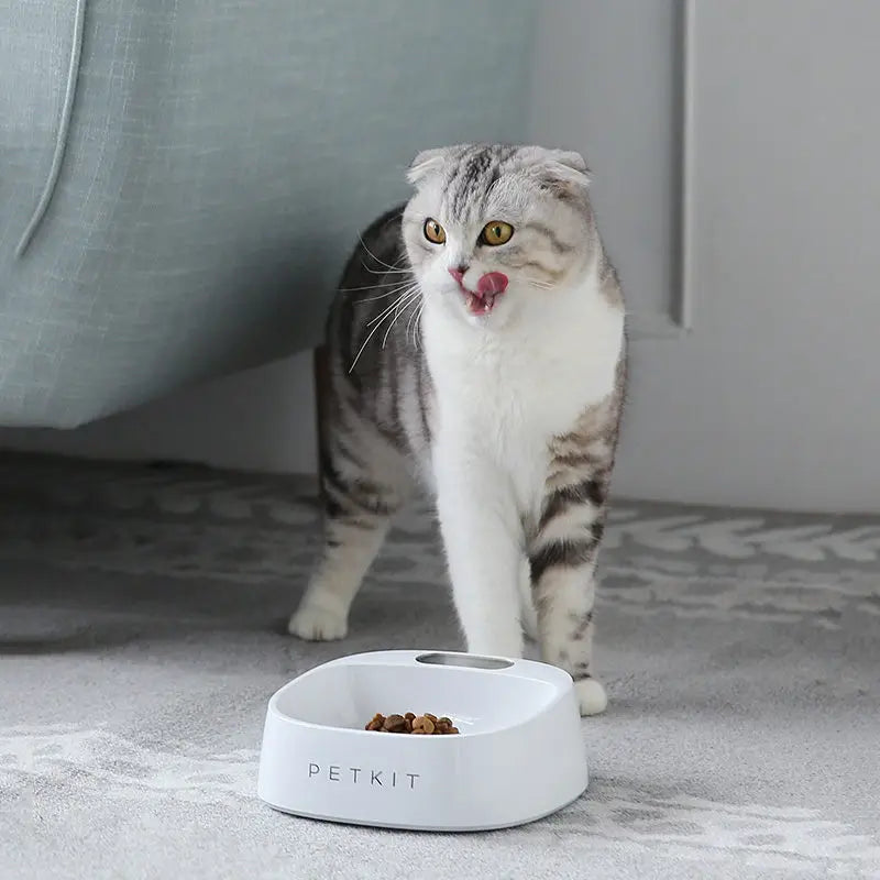 Smart Pet Feeding Bowl with Digital Weighing & Antibacterial Technology