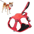 Load image into Gallery viewer, Anti-Burst Impact Harness and Retractable Leash Set on a dog showcasing durability fashion and the comfort of the all-in-one -Littlepawgive
