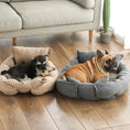 Load image into Gallery viewer, 3-in-1 Cozy Pet Bed - Perfect for Cats & Dogs
