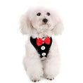 Load image into Gallery viewer, Adorable white dog in a black tuxedo harness with a red bowtie, showcasing a stylish look for walks.

