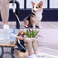 Load image into Gallery viewer, Retractable Dog Leash with Safety Lock

