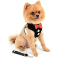 Load image into Gallery viewer, Stylish Pomeranian wearing a chic no pull dog harness and leash set with a red bowtie.
