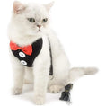 Load image into Gallery viewer, Chic no pull dog harness with bowtie on a stylish white cat, accompanied by a matching leash.

