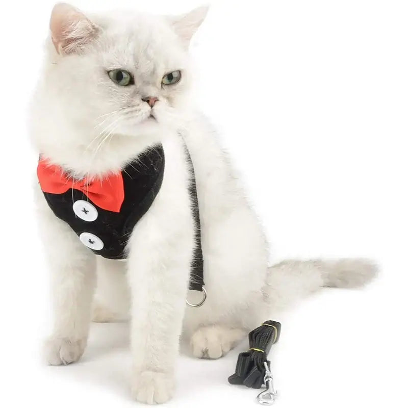 Chic no pull dog harness with bowtie on a stylish white cat, accompanied by a matching leash.