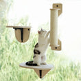 Load image into Gallery viewer, Cat Window Perch with Climbing Steps & Scratching Post
