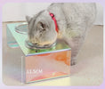 Load image into Gallery viewer, Iridescent Anti-Spill Pet Bowl Set - Elevated Comfort
