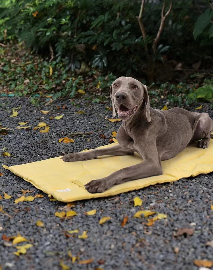 Waterproof Dog Training Mat - Absorbent & Foldable