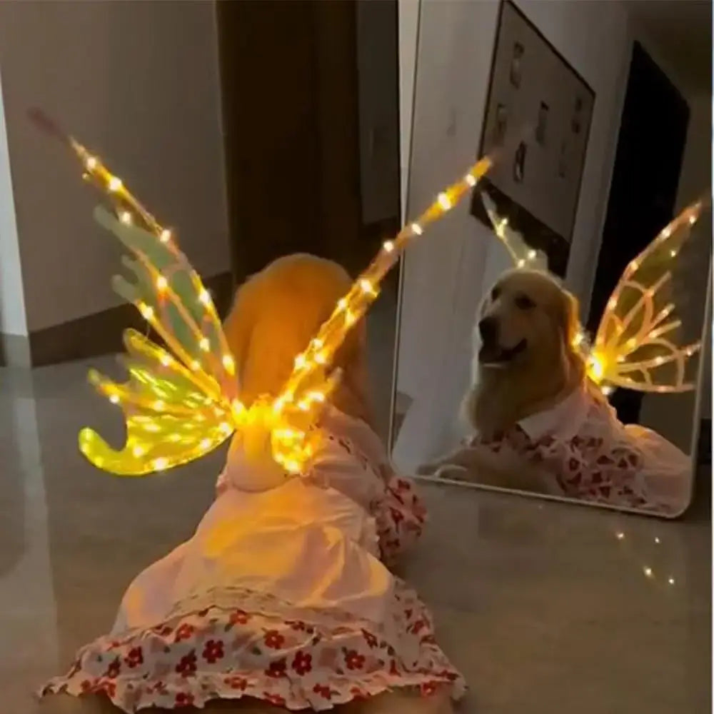 Dog wearing electric light-up butterfly wings looking in a mirror, showcasing a stylish and adjustable pet costume.