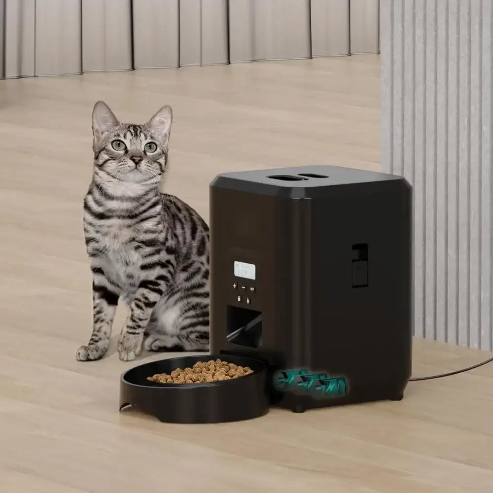 Smart pet feeder for cats with a gray tabby cat beside it, showcasing automatic feeding convenience.