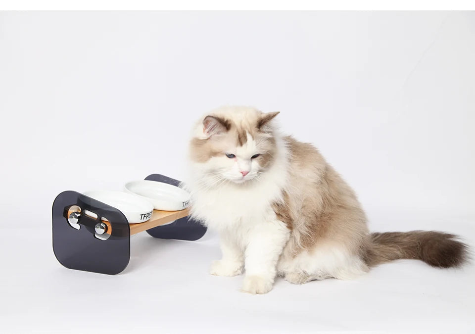 Ceramic Pet Bowl with Anti-Spill Wood Stand